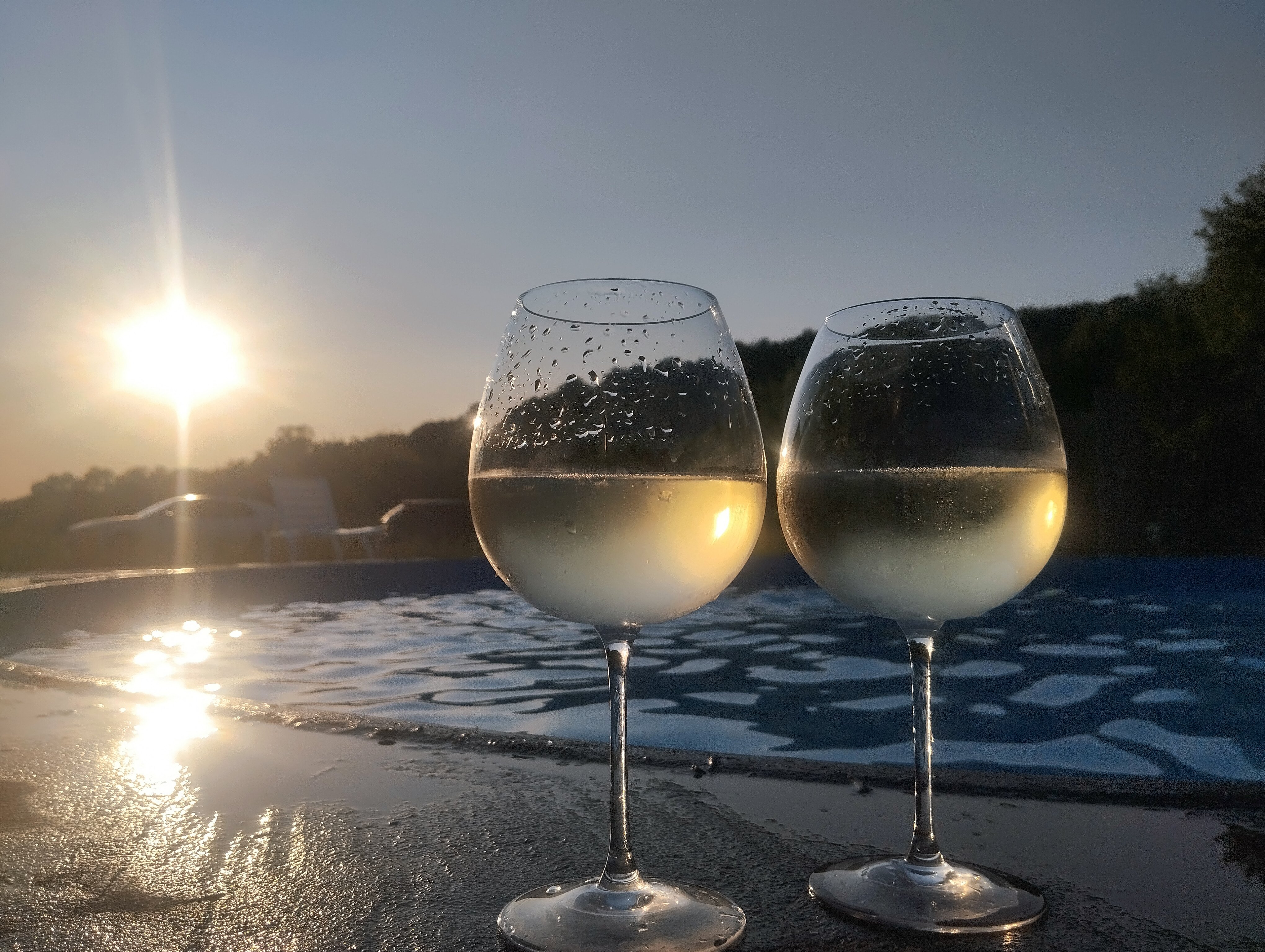 Фото Кипарис