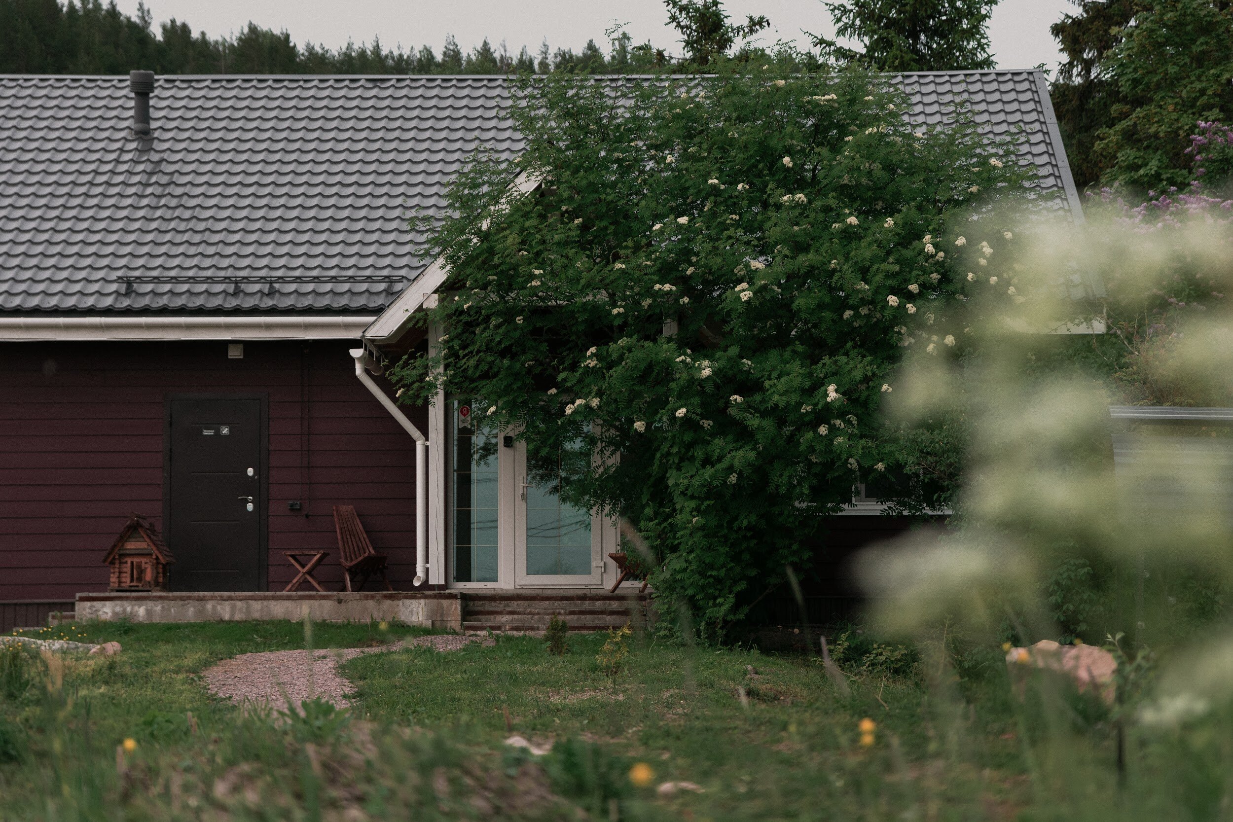 Фото Полянка