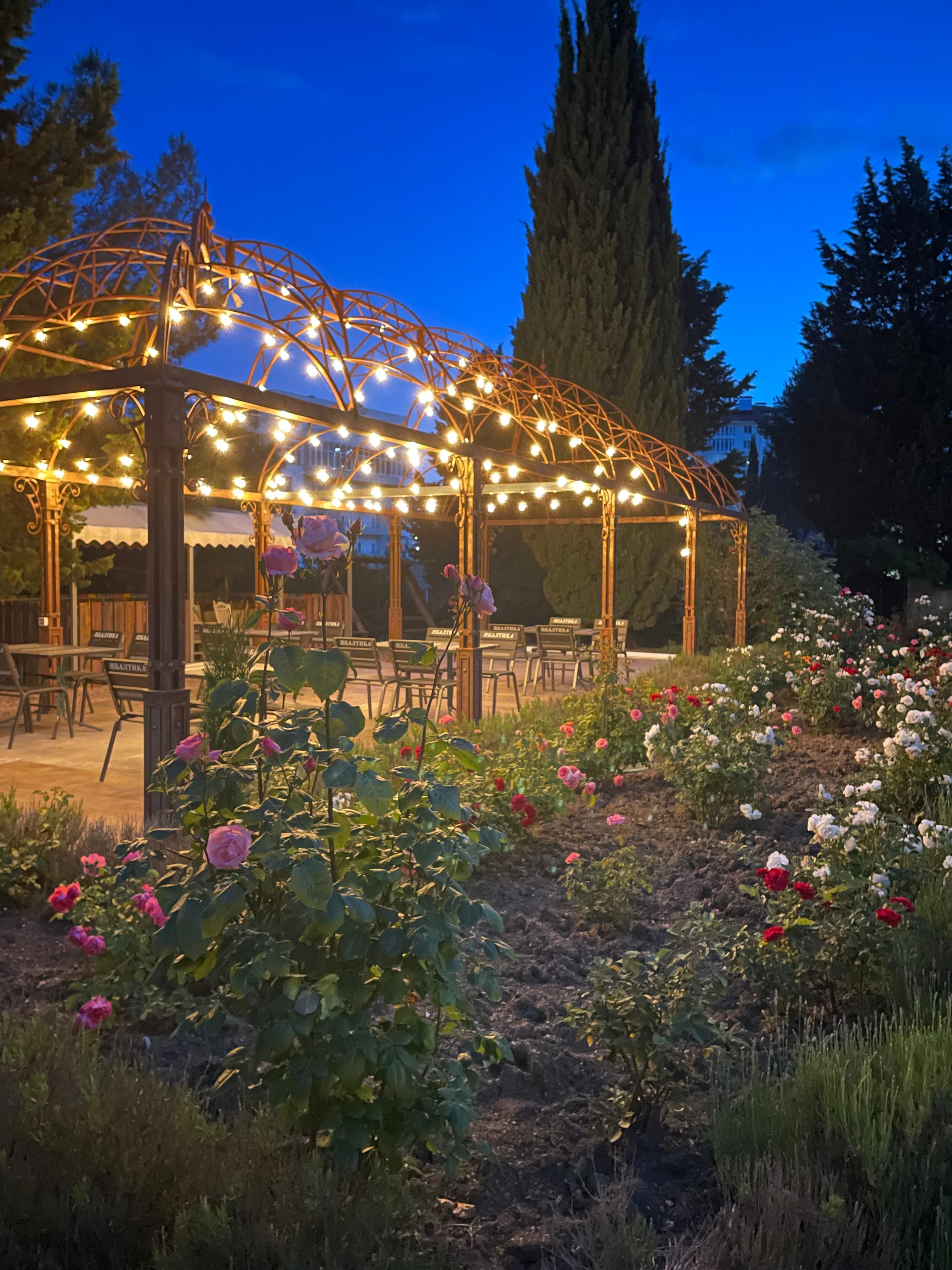 Фото Аквани