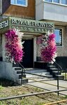 Royal Flowers (Zoi Kosmodemyanskoy Street, 32), flower shop