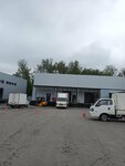 Zvezdy Transporta (Vidnoye, Severnaya promzona, вл17А), freight forwarding