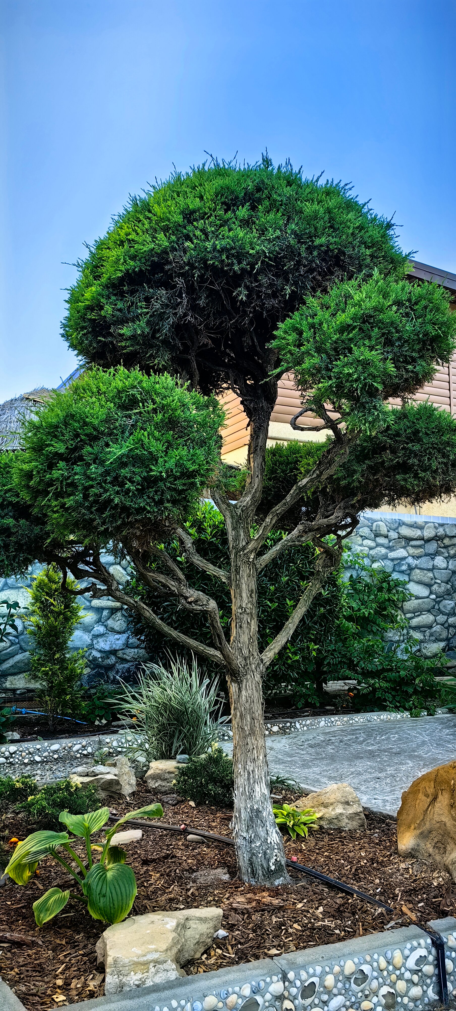 Фото Вилла SiTi