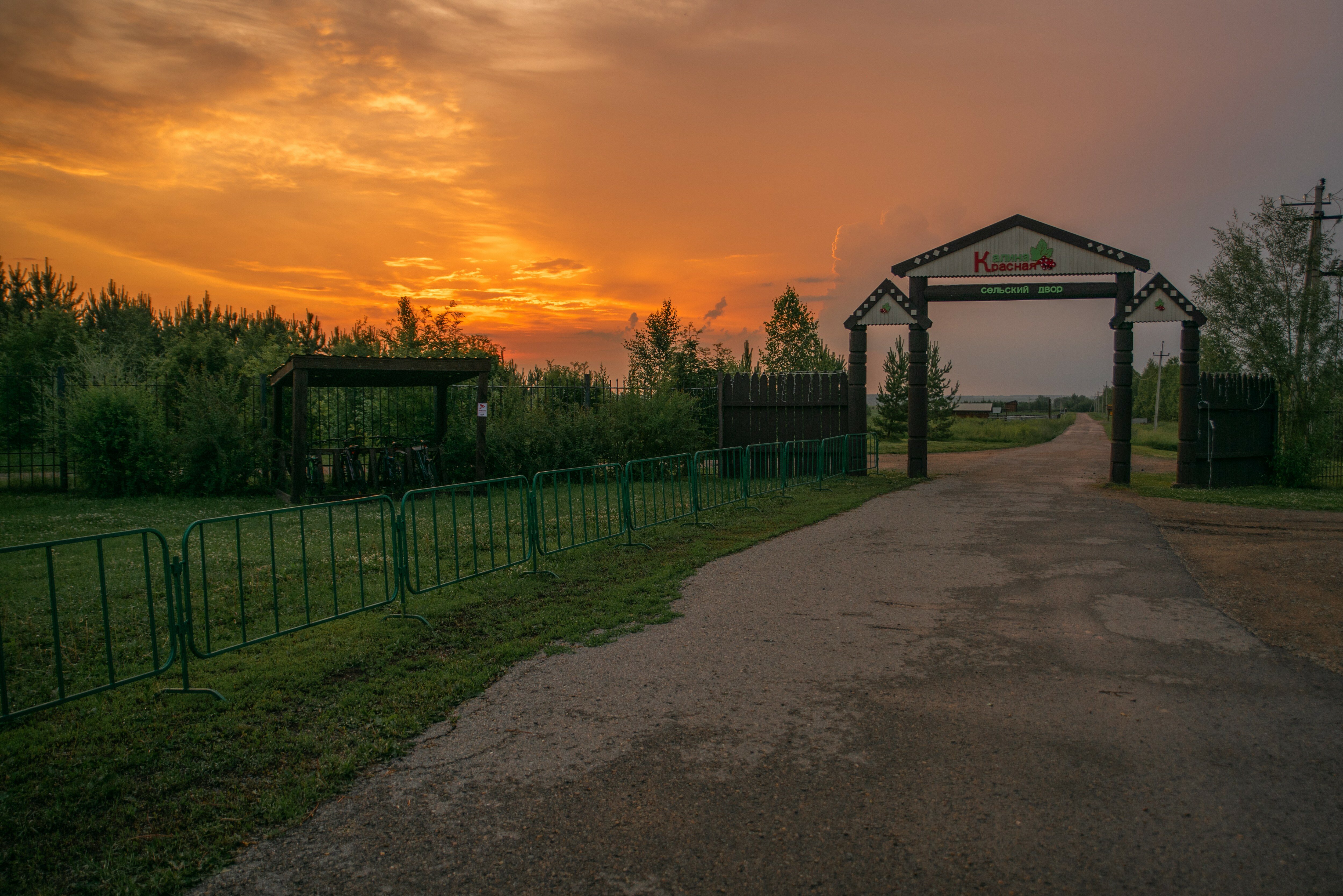 Фото Калина красная