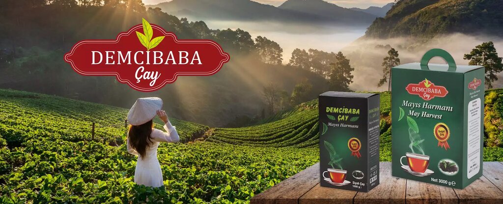 Wholesale company Demcibaba Tea, Istanbul, photo