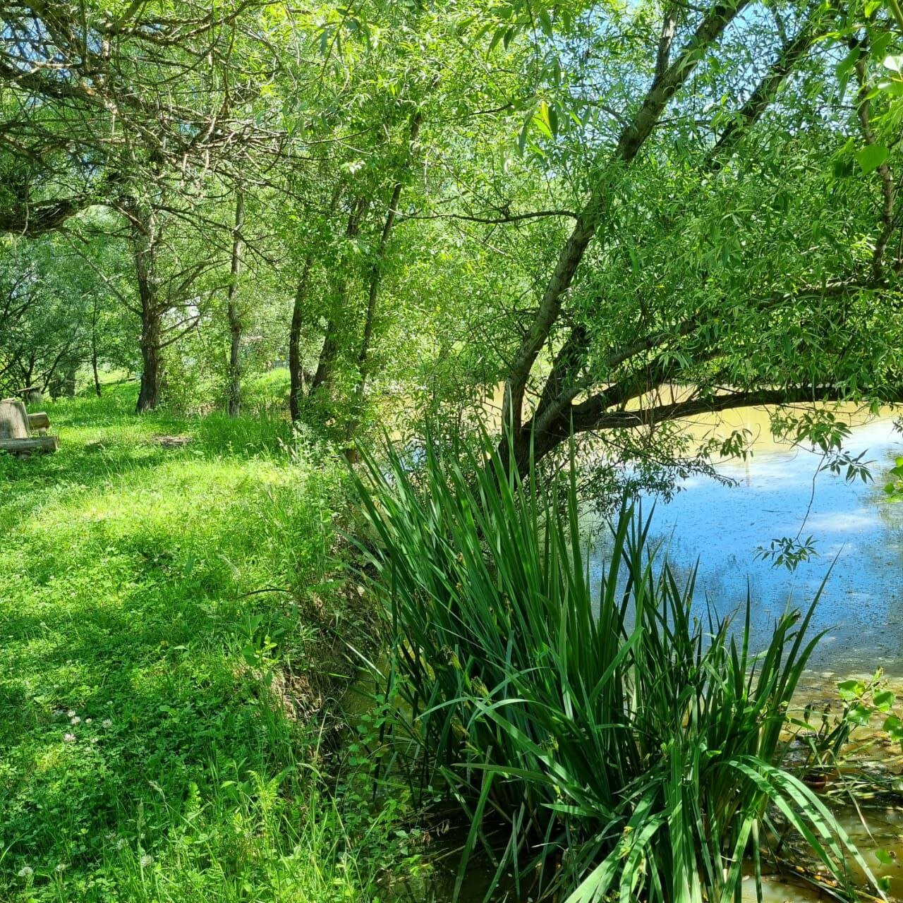 Фото Большая Лаба