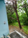 Детский Оздоровительный Лагерь Солнечный Берег (posyolok gorodskogo tipa Bezenchuk, ulitsa Neftyanikov, 11) ، مخيم صيفي