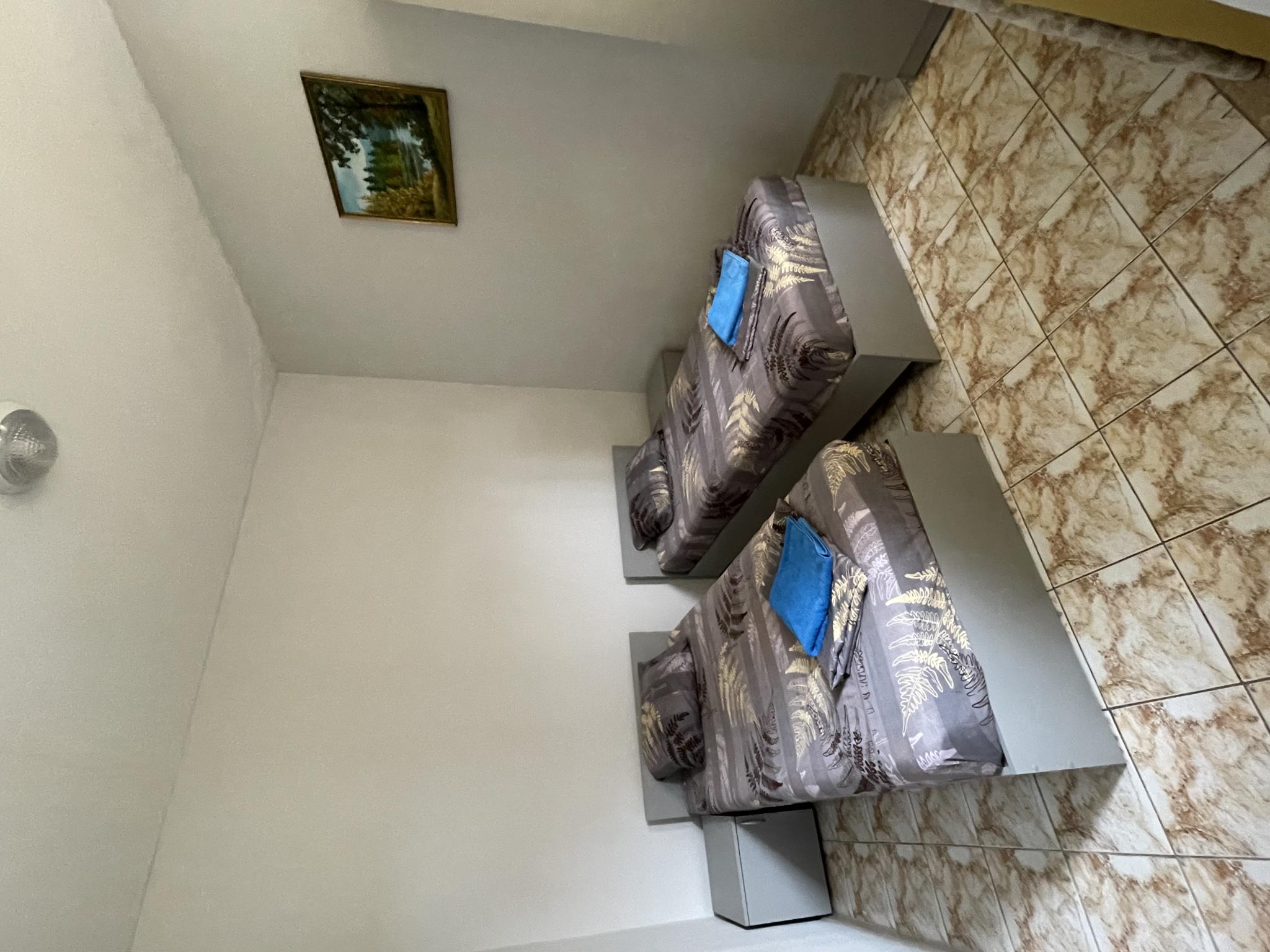 Фото Вистерия