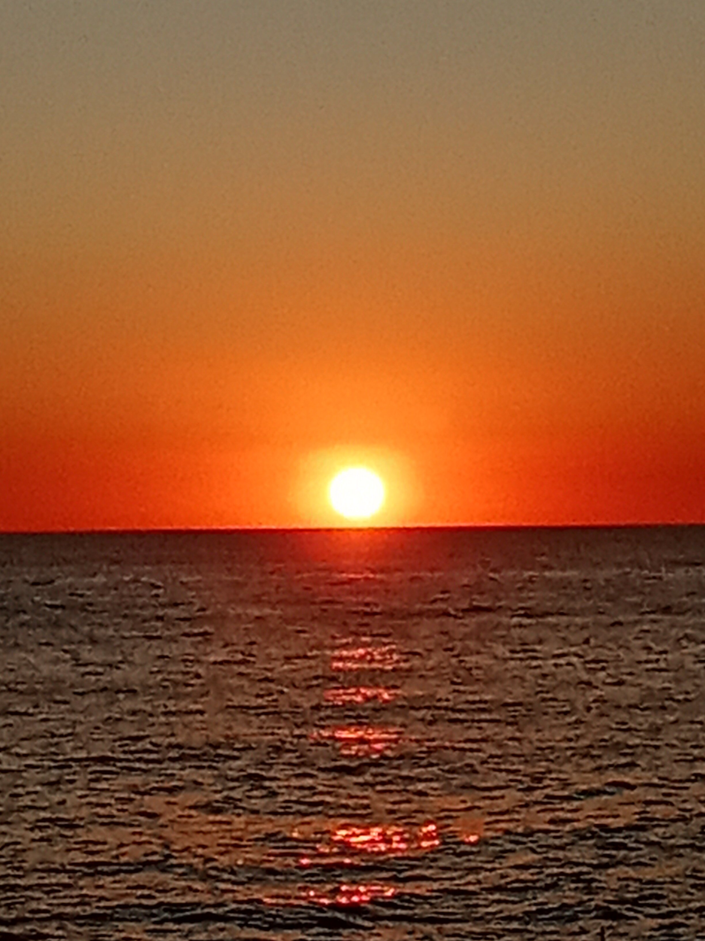 Фото GardenBerry LooResort