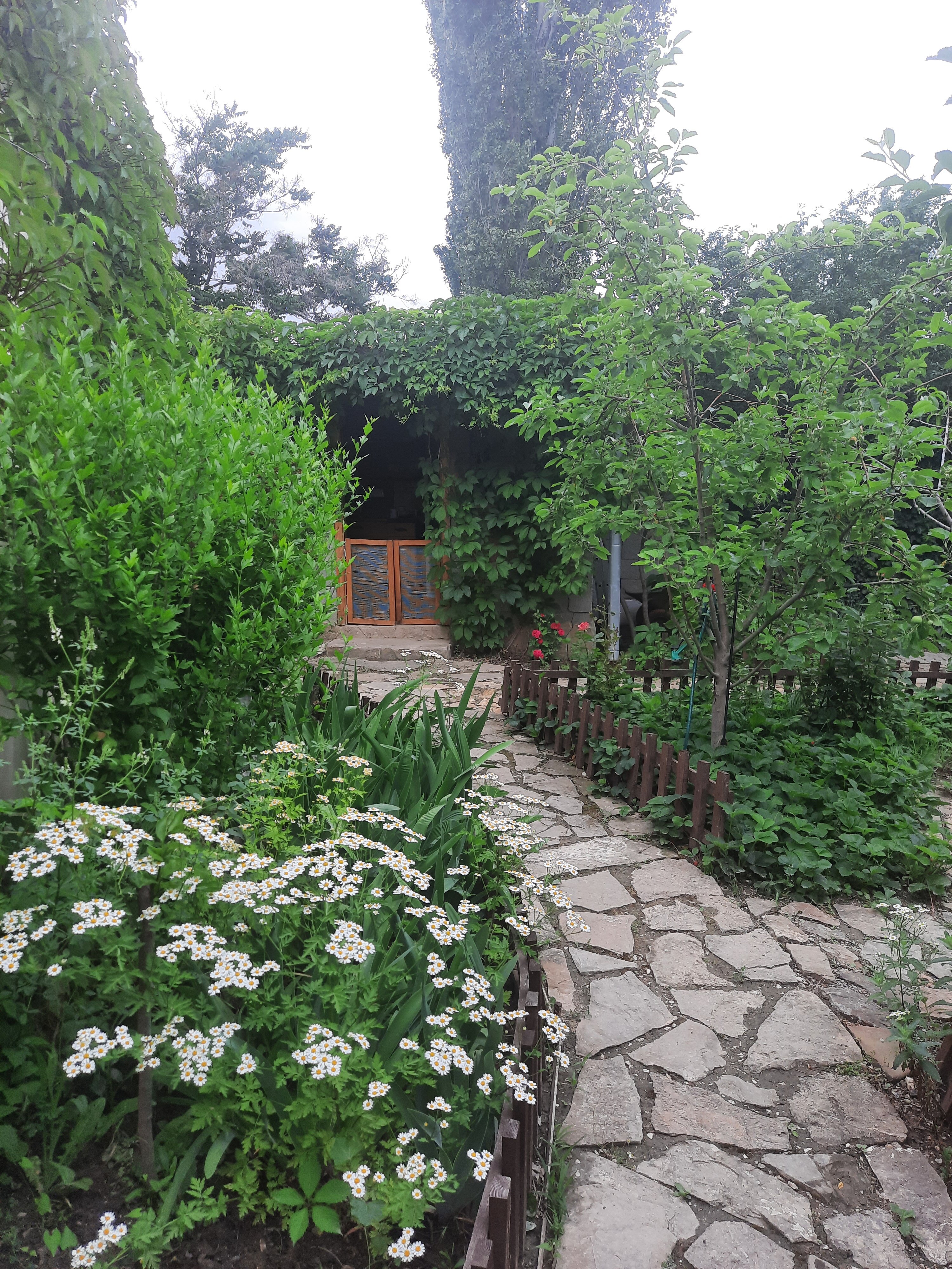 Фото Зелёный дворик