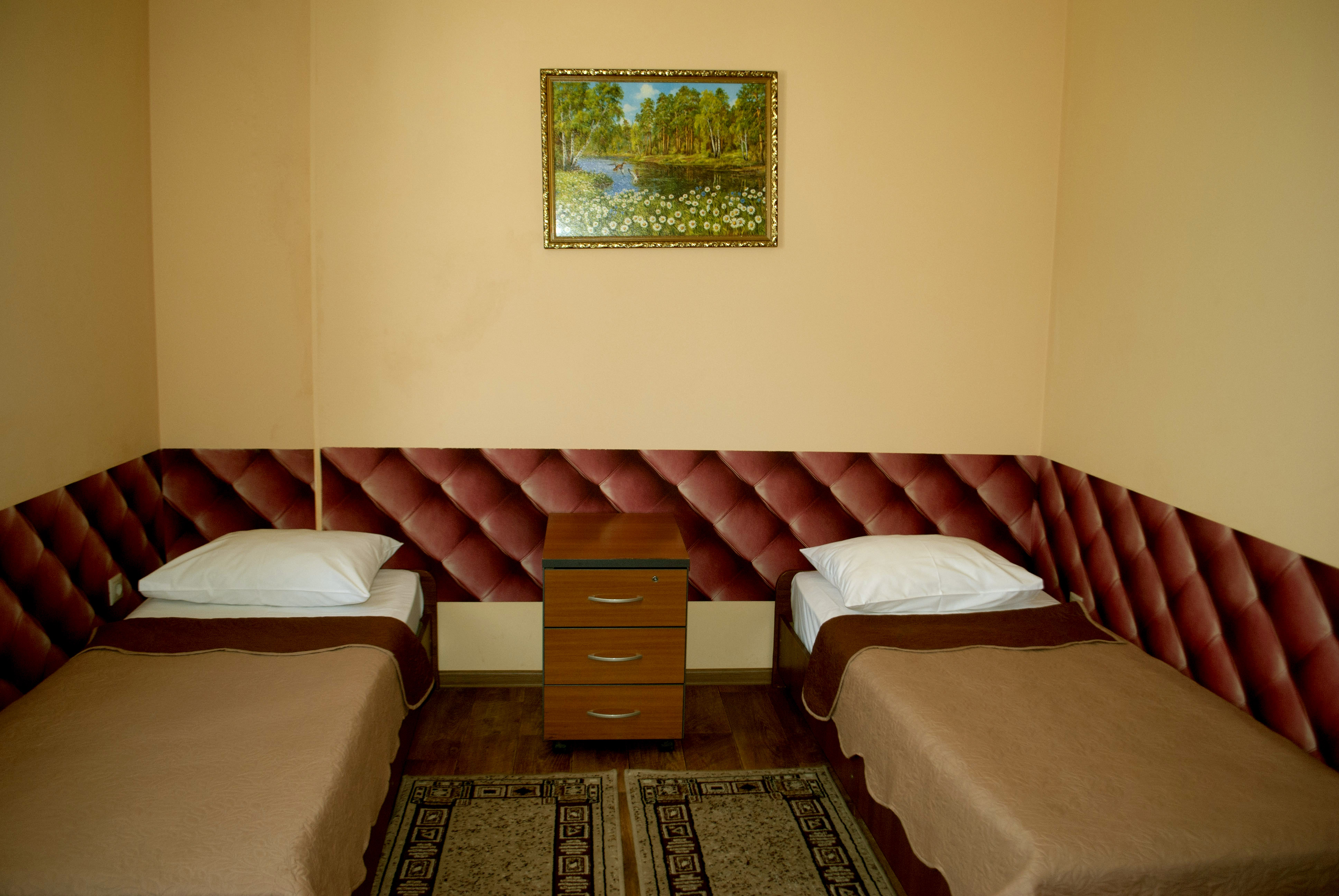 Фото Абрикос