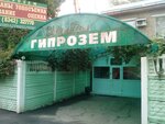 Giprozem (Bolshevistskaya Street, 115), cadastral works