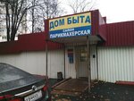 Dom bita (Stroiteley Street, 7А) ، ترميم مواد معدنية