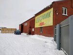 Lesovik (ulitsa Mira, 63к3), woodworking enterprise