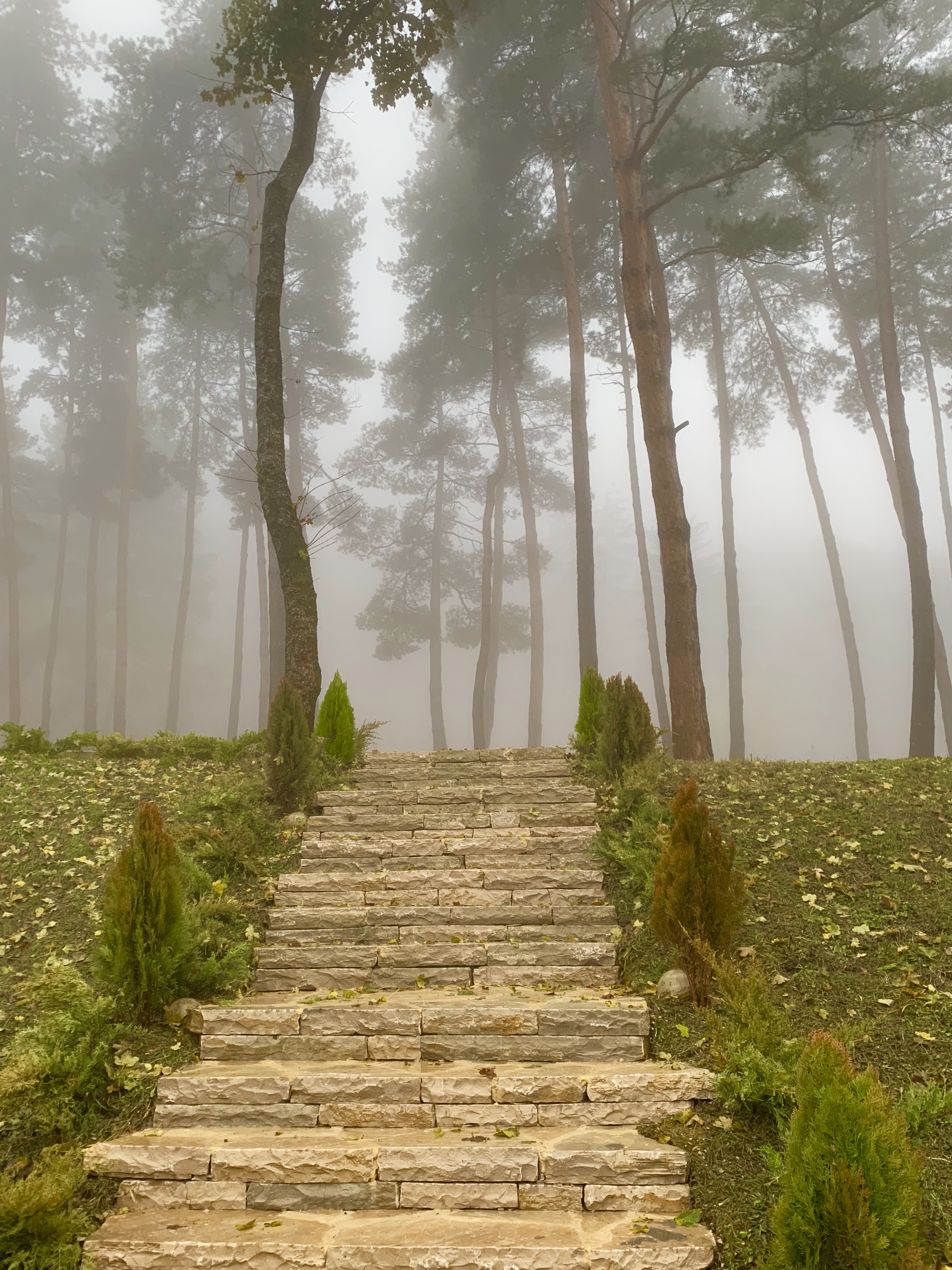 Фото Bioli Wellness Resort