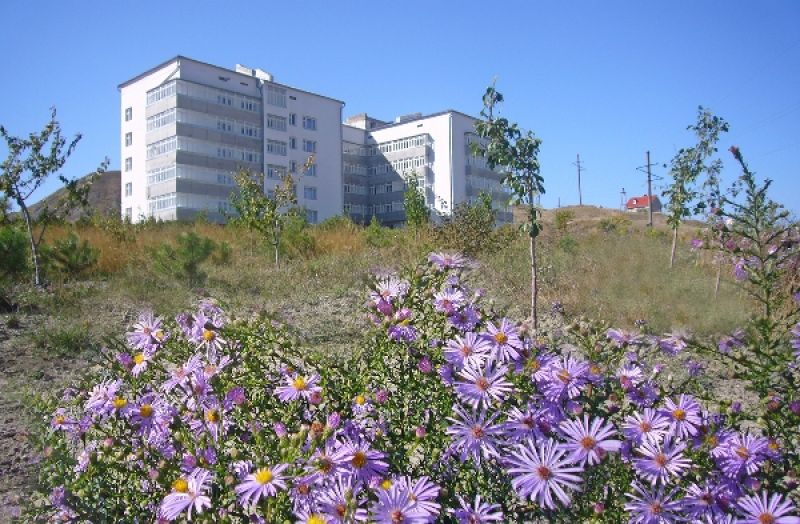 Фото Отдых в Орджоникидзе Апартаменты на Ленина