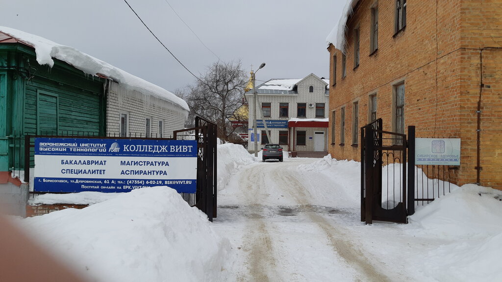 University Voronezhskiy institut vysokih tehnologii, Borisoglebsk, photo
