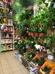 Cvetmarket (Shosseynaya Street, 2к1), flower shop