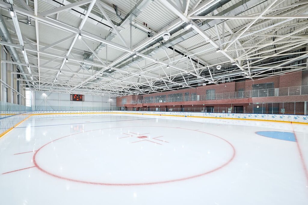 Спортивный комплекс Многофункциональный спортивно-оздоровительный комплекс Академия льда, Москва, фото