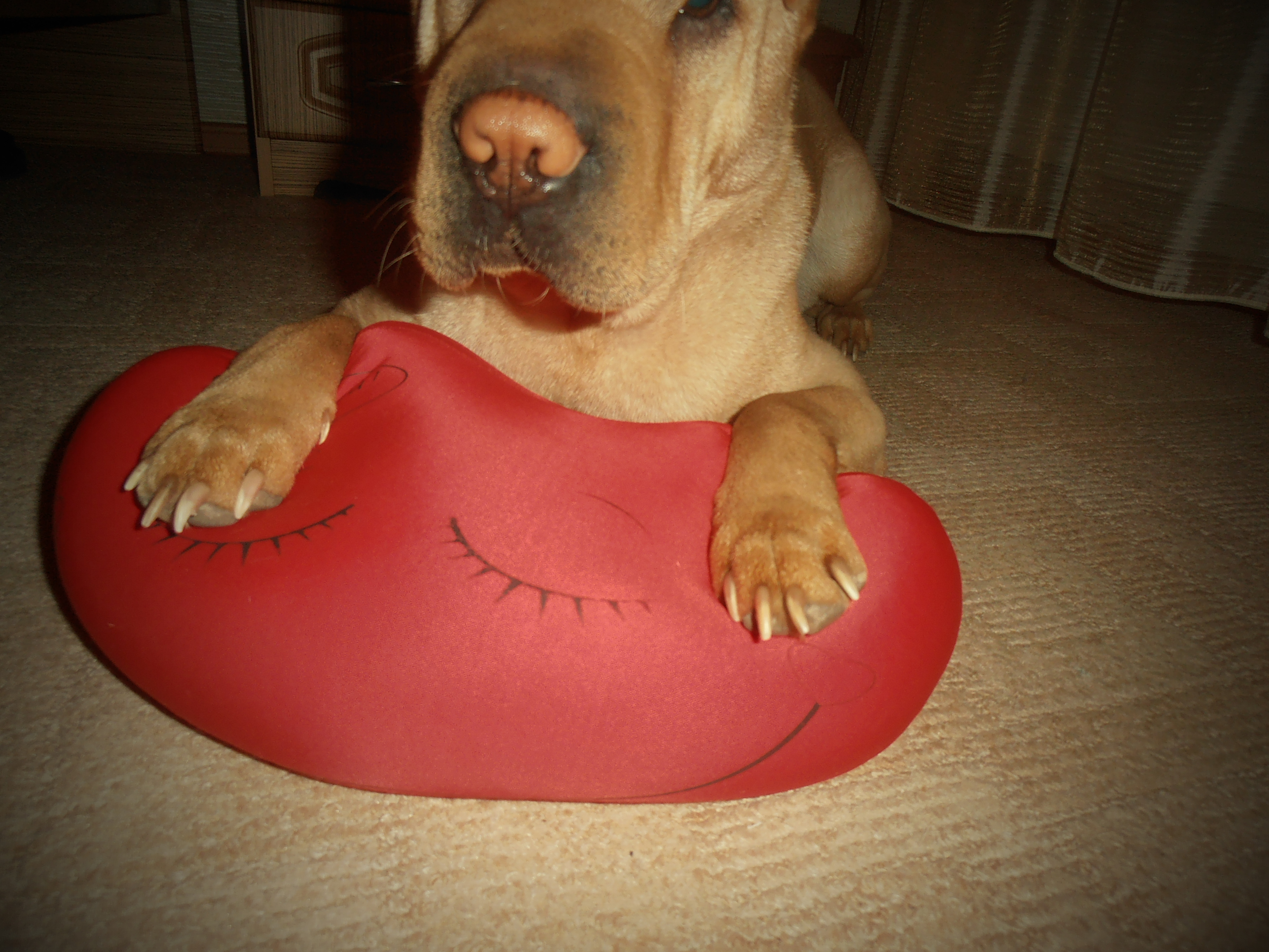 Фото Коттедж Манжерок