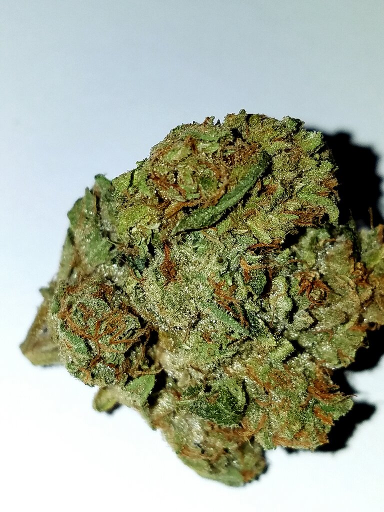 Медицинские информационные услуги Caliholistic, Ранчо Кукамонга, фото