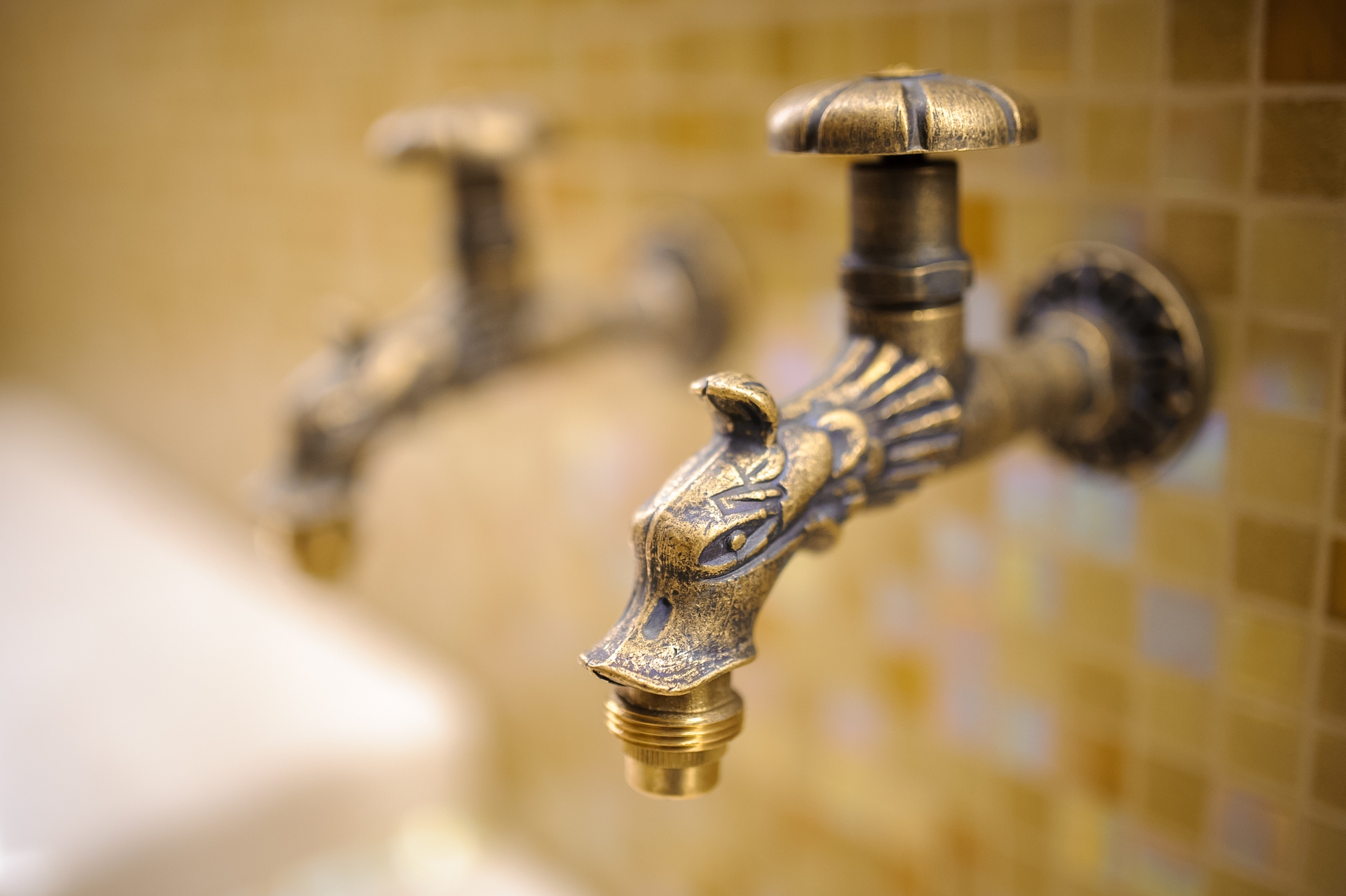 Фото Графский