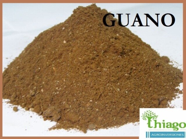 Environmental organization Agroinversiones Thiago E. I. R. L., Lima, Lima, photo