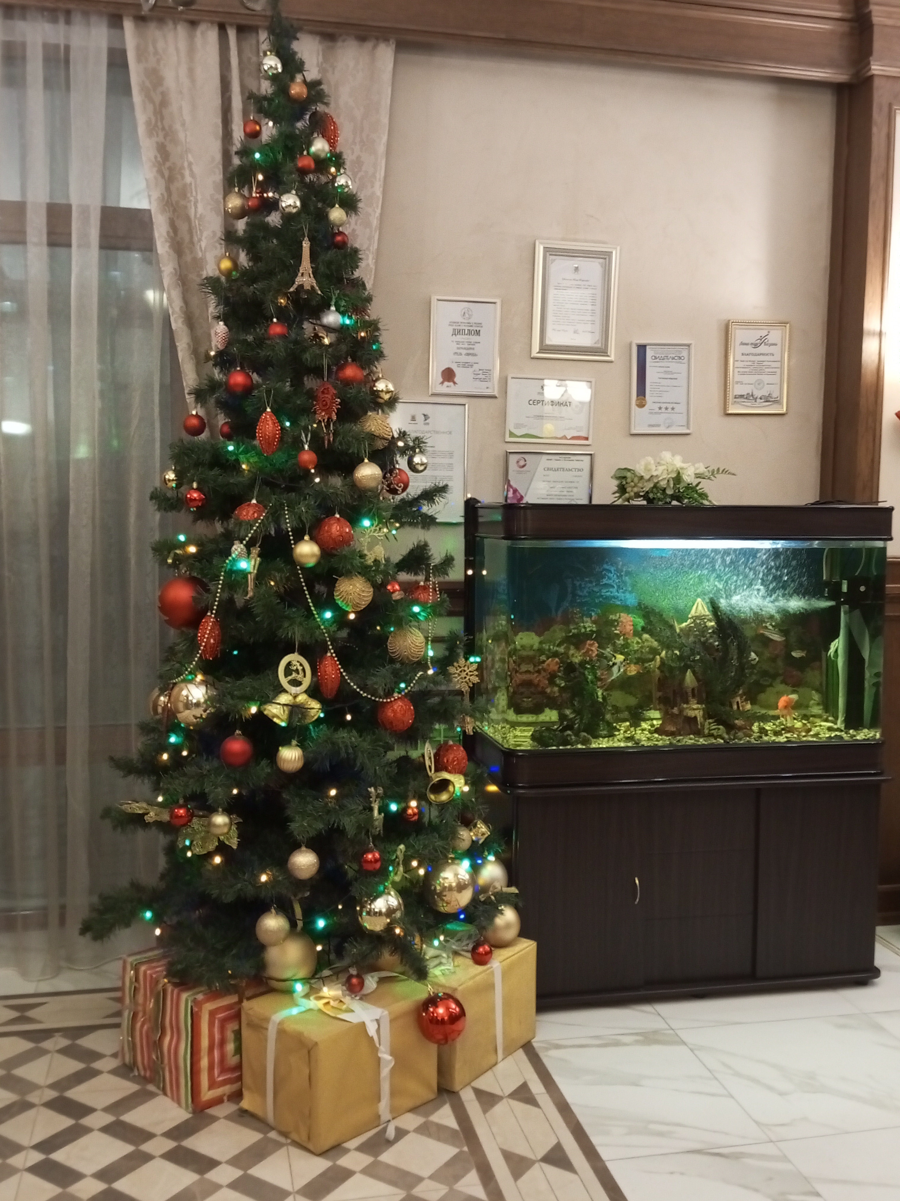 Фото Европа