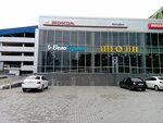 Elka-Market 161 (Rostov-on-Don, Severniy Microdistrict, Komarova Boulevard, 28Ж) ، زينة وأشجار عيد الميلاد