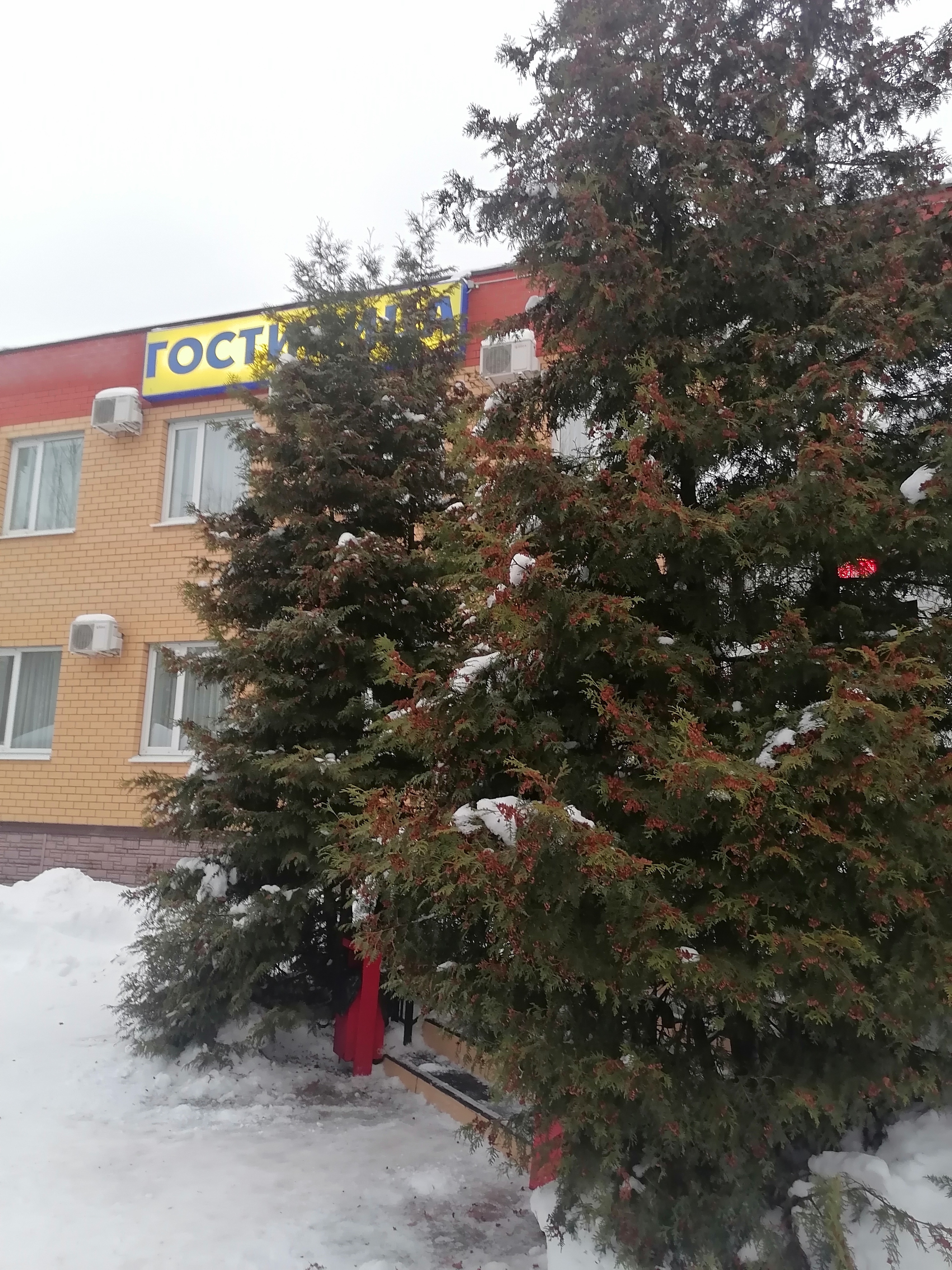 Фото Центр досуга и отдыха Оскар