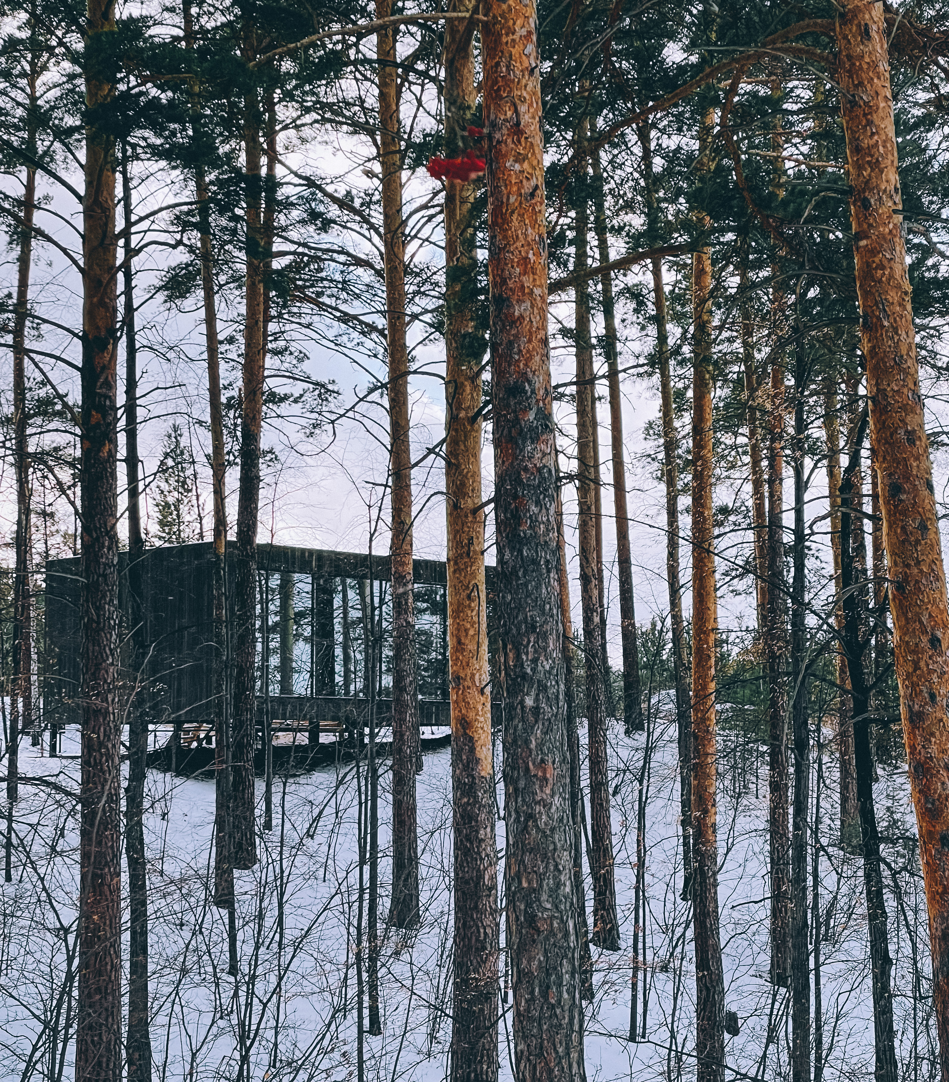 Фото Vert Landscape Hotel