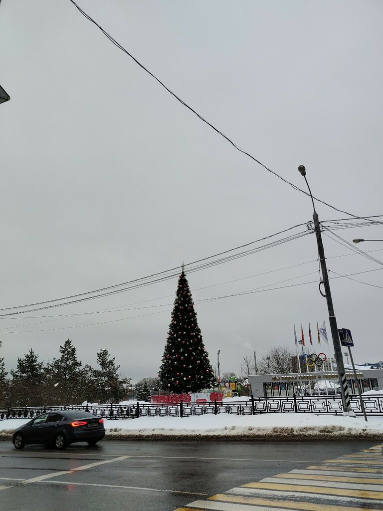City tree Christmas tree, Domodedovo, photo