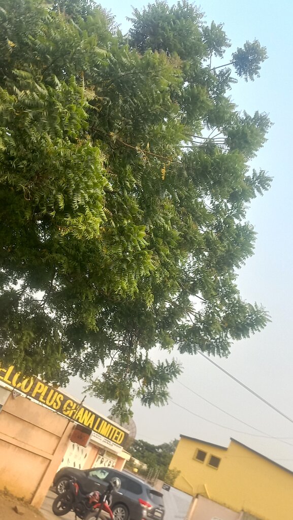 Business consulting Selco Plus Ghana Limited, Accra, photo