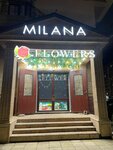 Milana flowers (Lenina Street, 39), floristeria