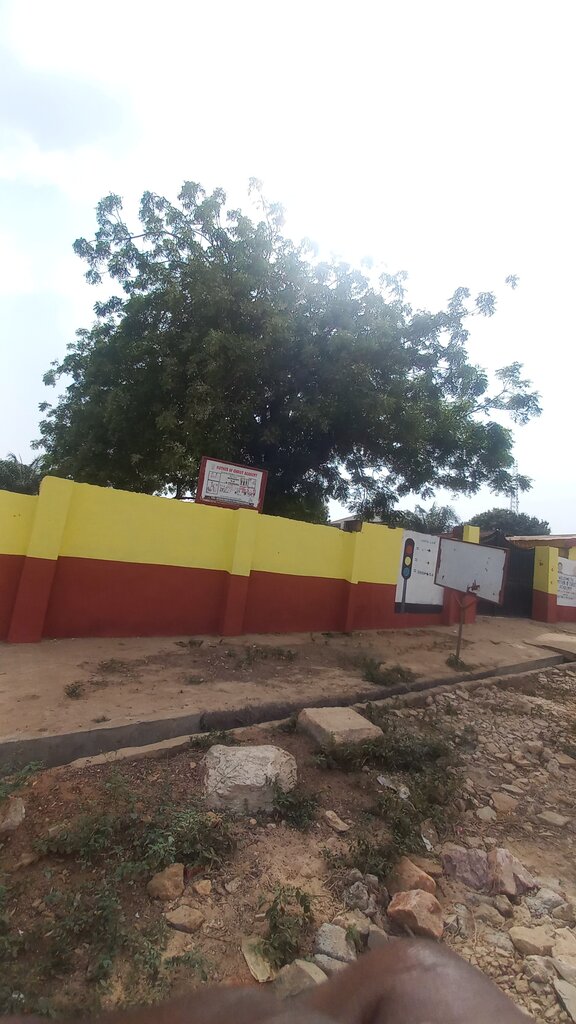 Primary school Mother Of Christ Academy, Earth, photo