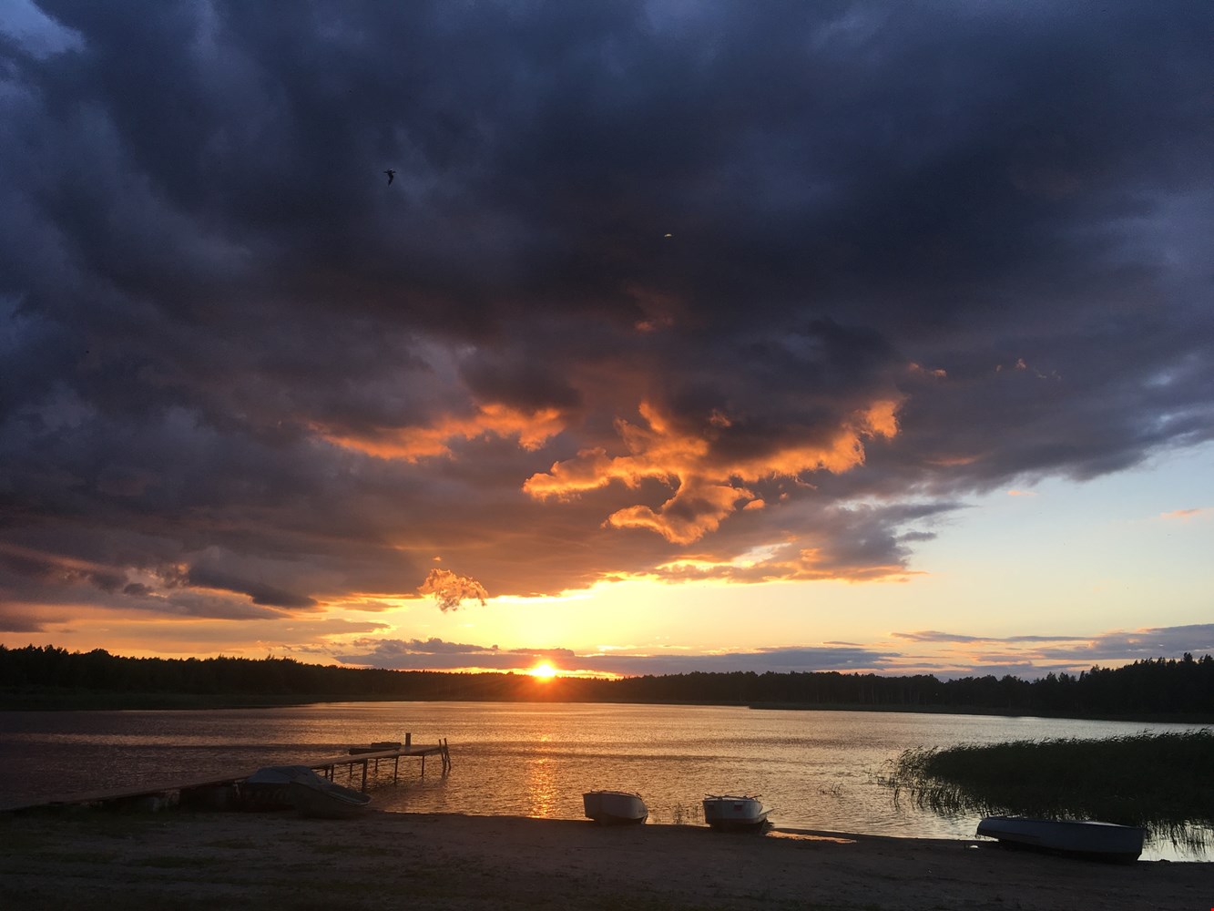 Фото У озера