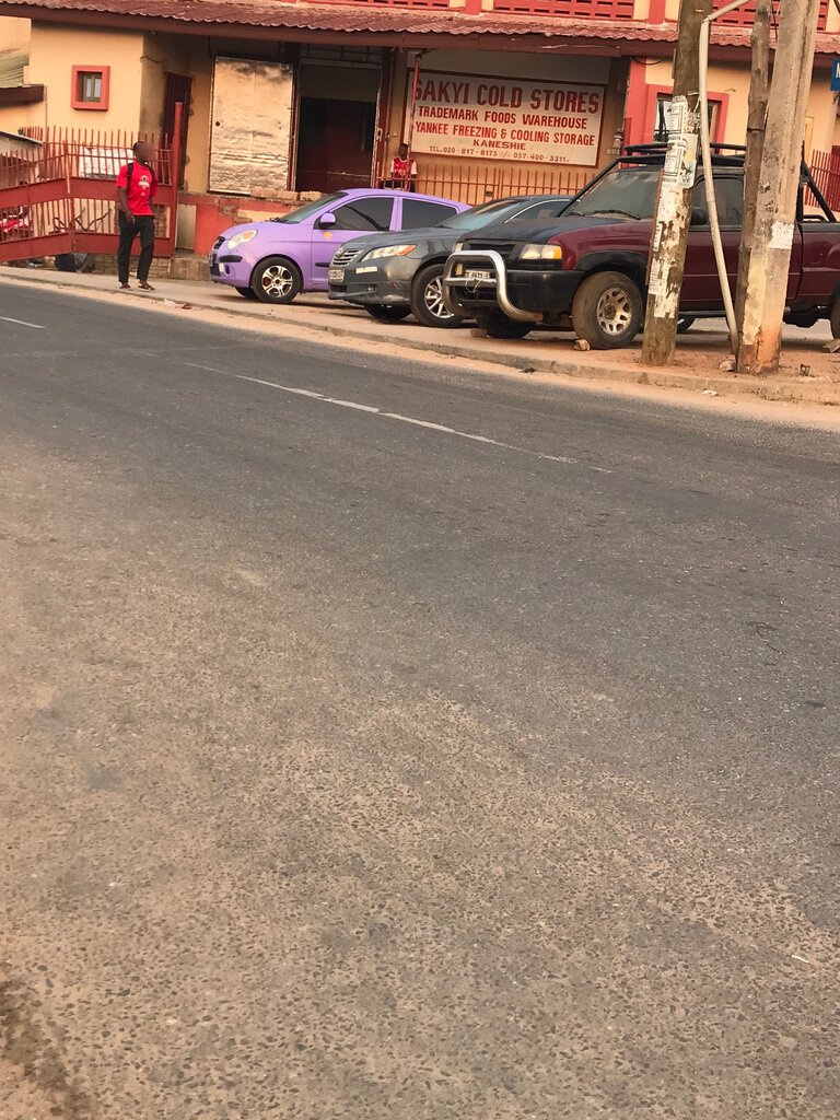 Frozen food products Sakyi coldstore, Accra, photo
