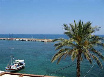 Фото Villa Sonia