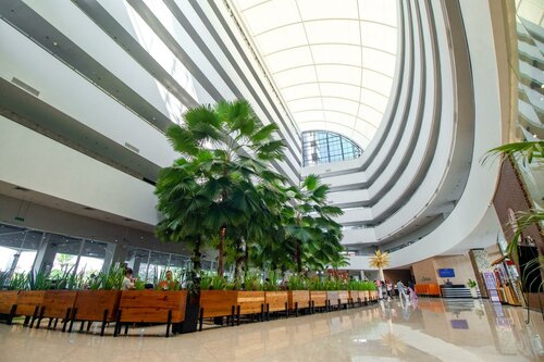 Гостиница Aston Cirebon Hotel & Convention Center в Чиребоне