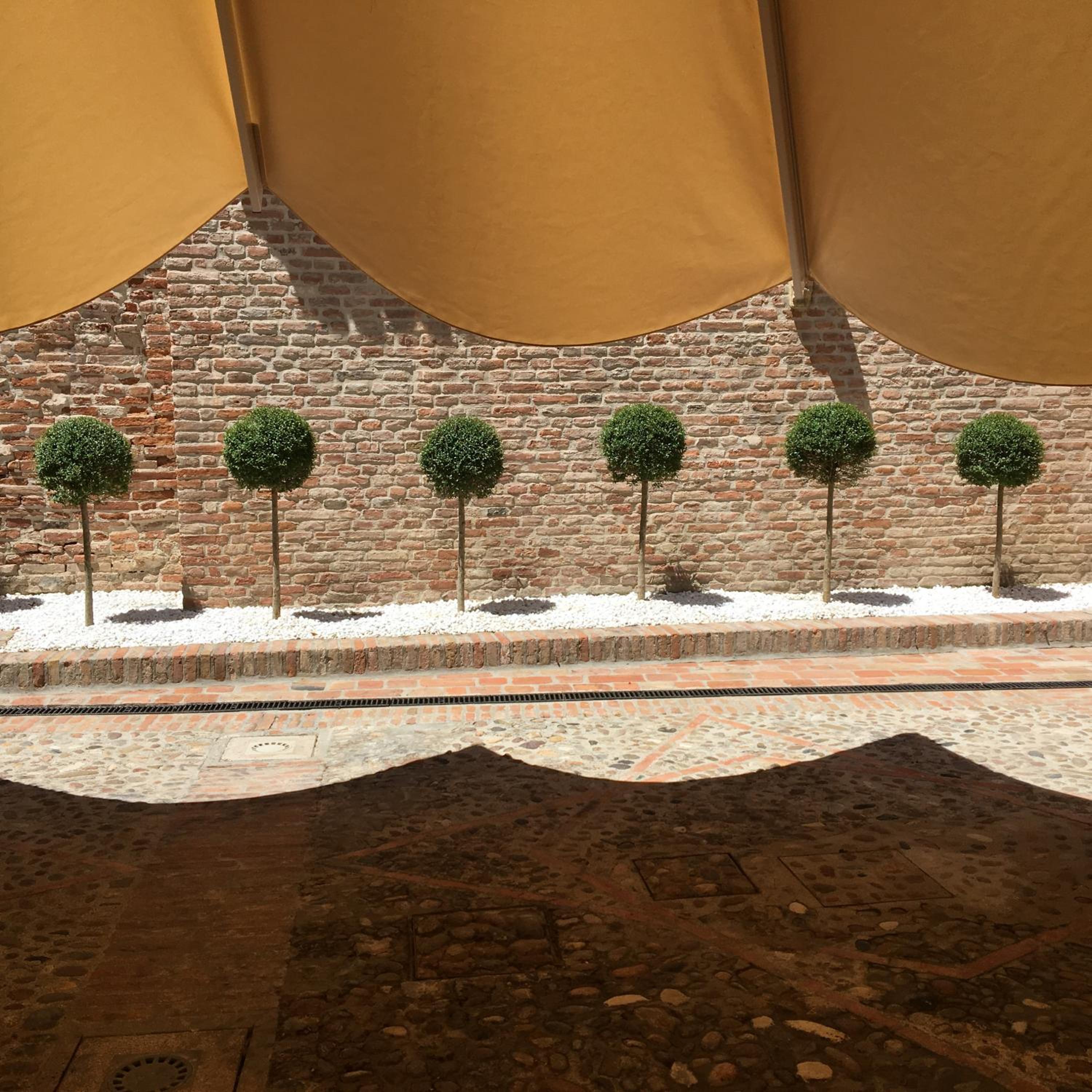 Фото Maxxim Hotel