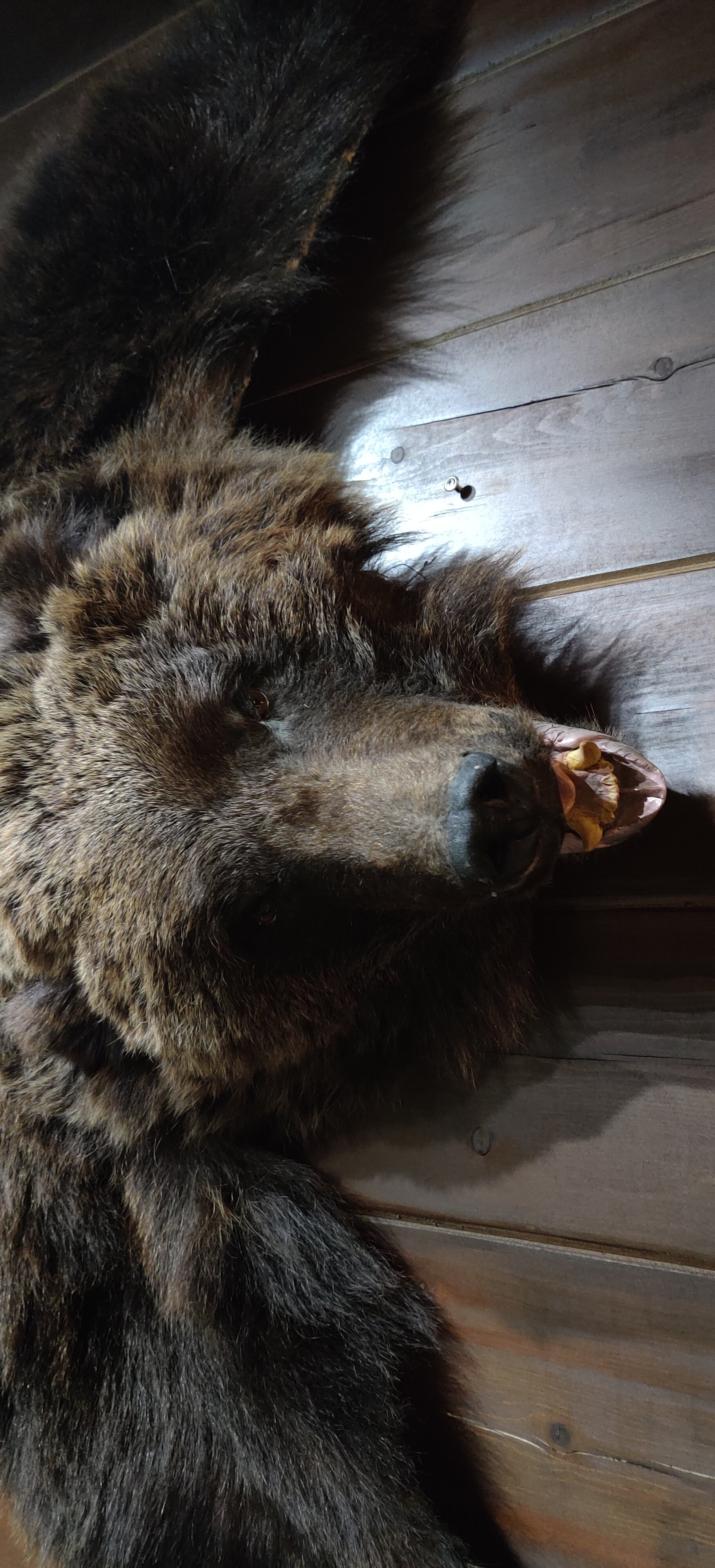 Фото Серебро