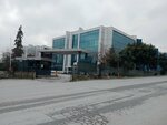 Beypa Dis Ticaret (Istanbul, Esenyurt, Akcaburgaz Neighborhood, 1567th Street) ، التجارة الخارجية والمنظمات الاقتصادية الأجنبية