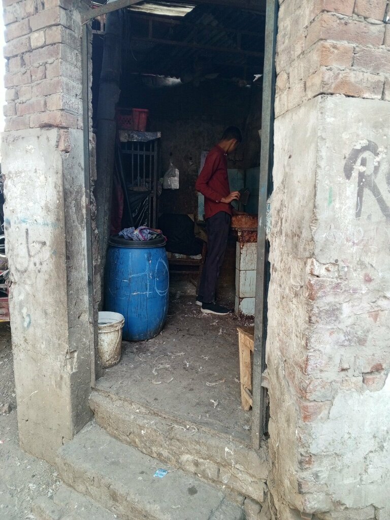 Egg and poultry meat Zaman chicken sale center, Lahore, photo