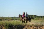 Конный клуб (Lesnaya ulitsa, 38) ، ركوب الخيل