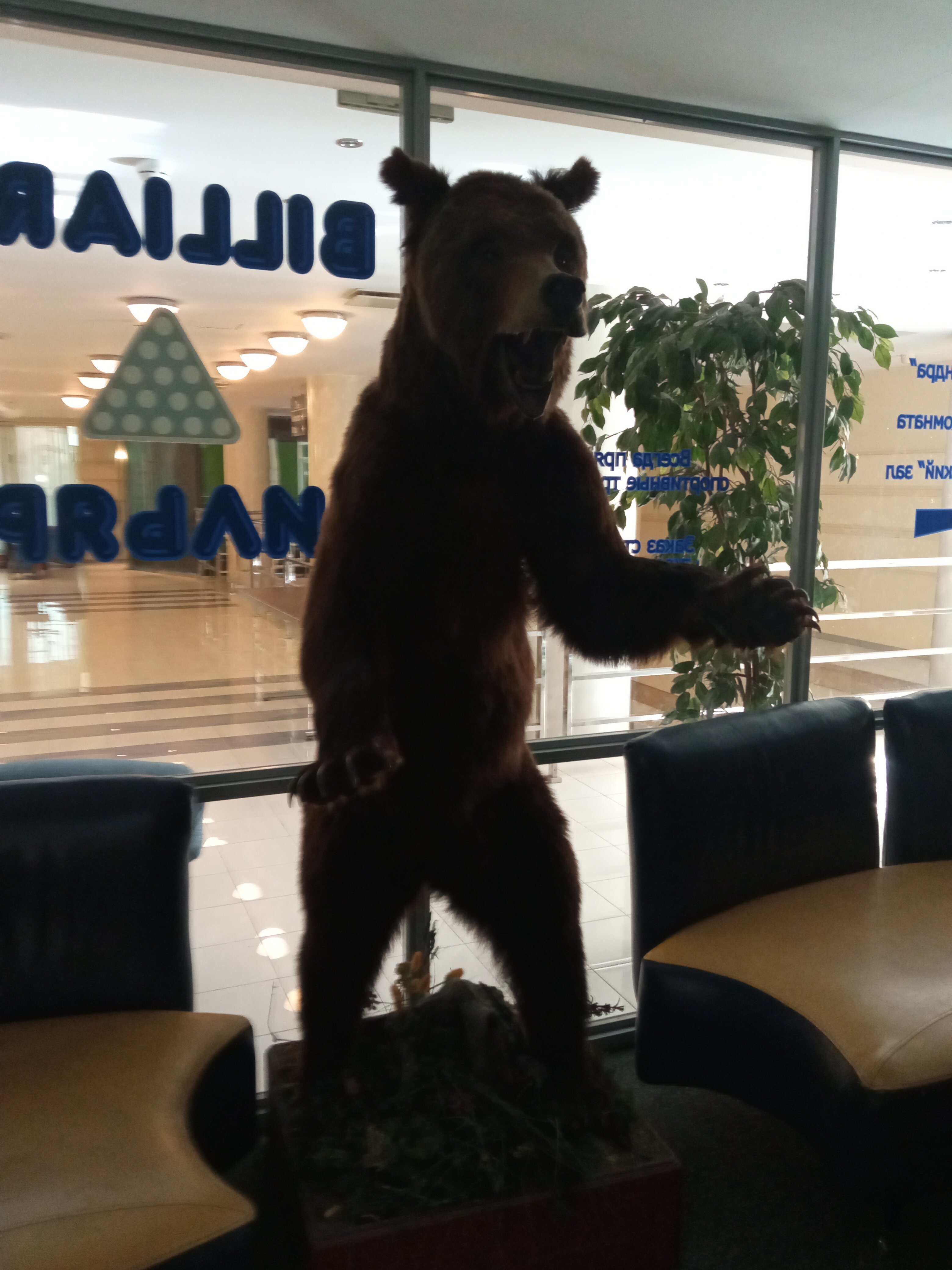 Фото Нептун