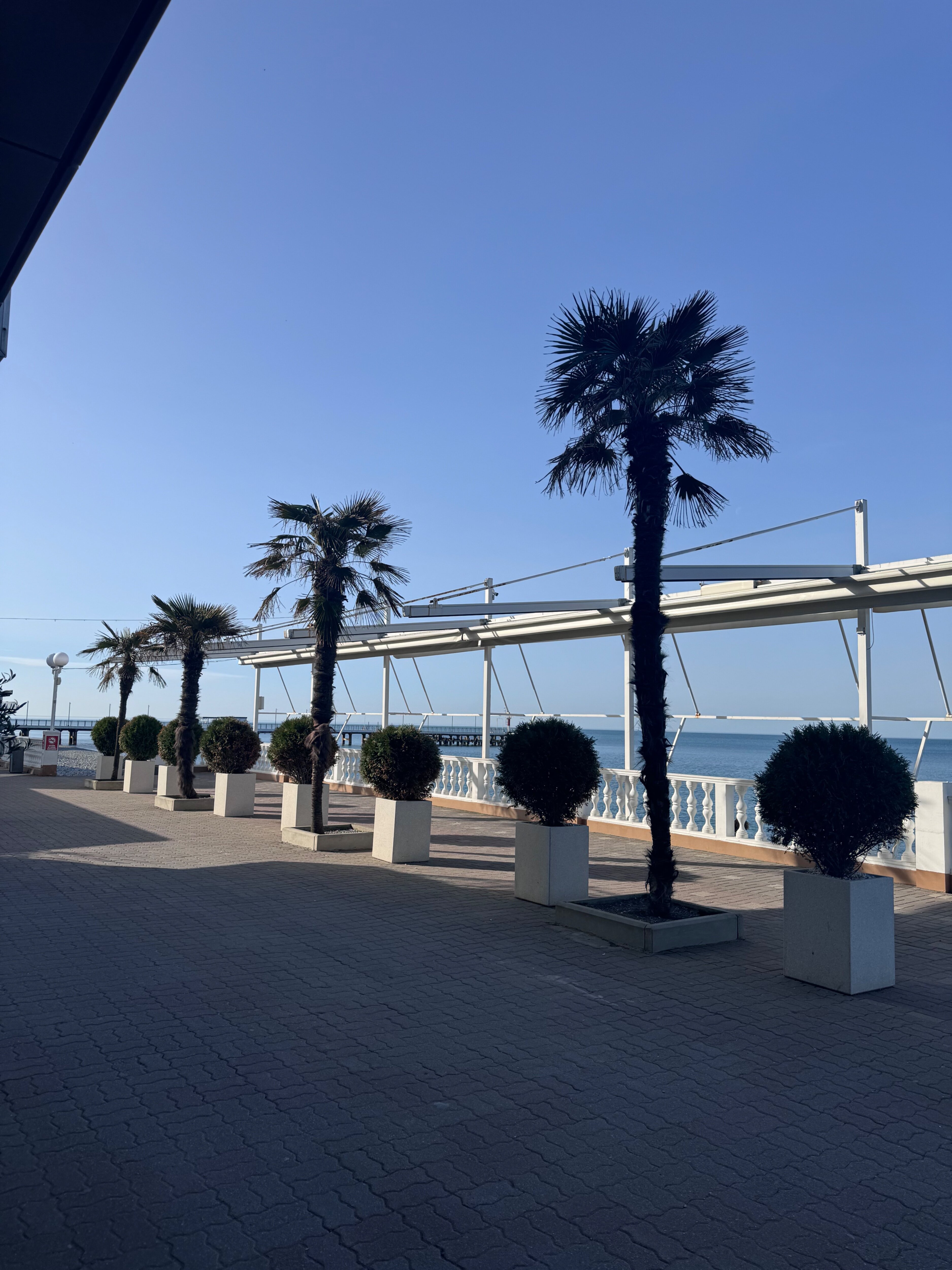 Фото Виктория