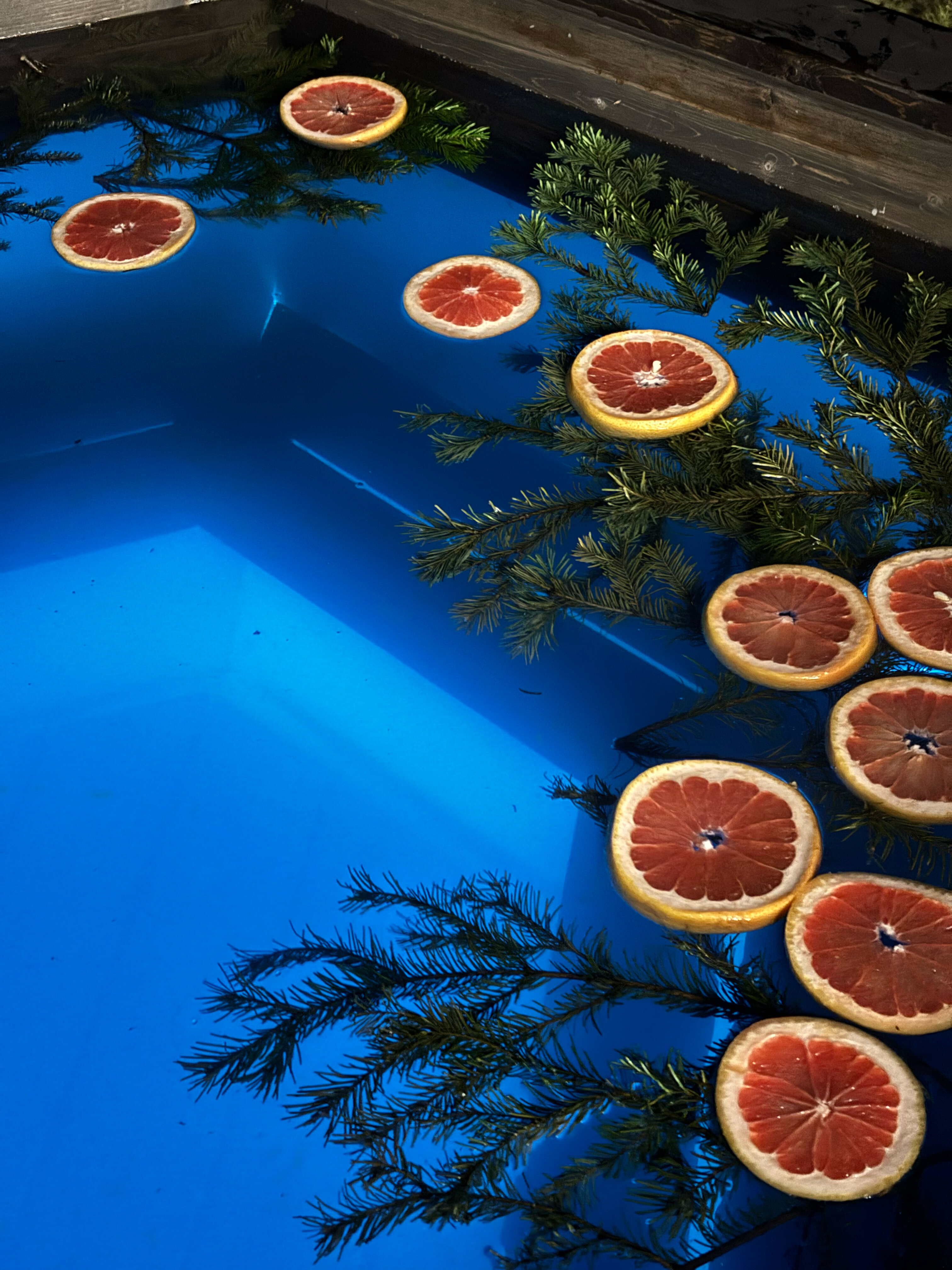 Фото Пар и сосны