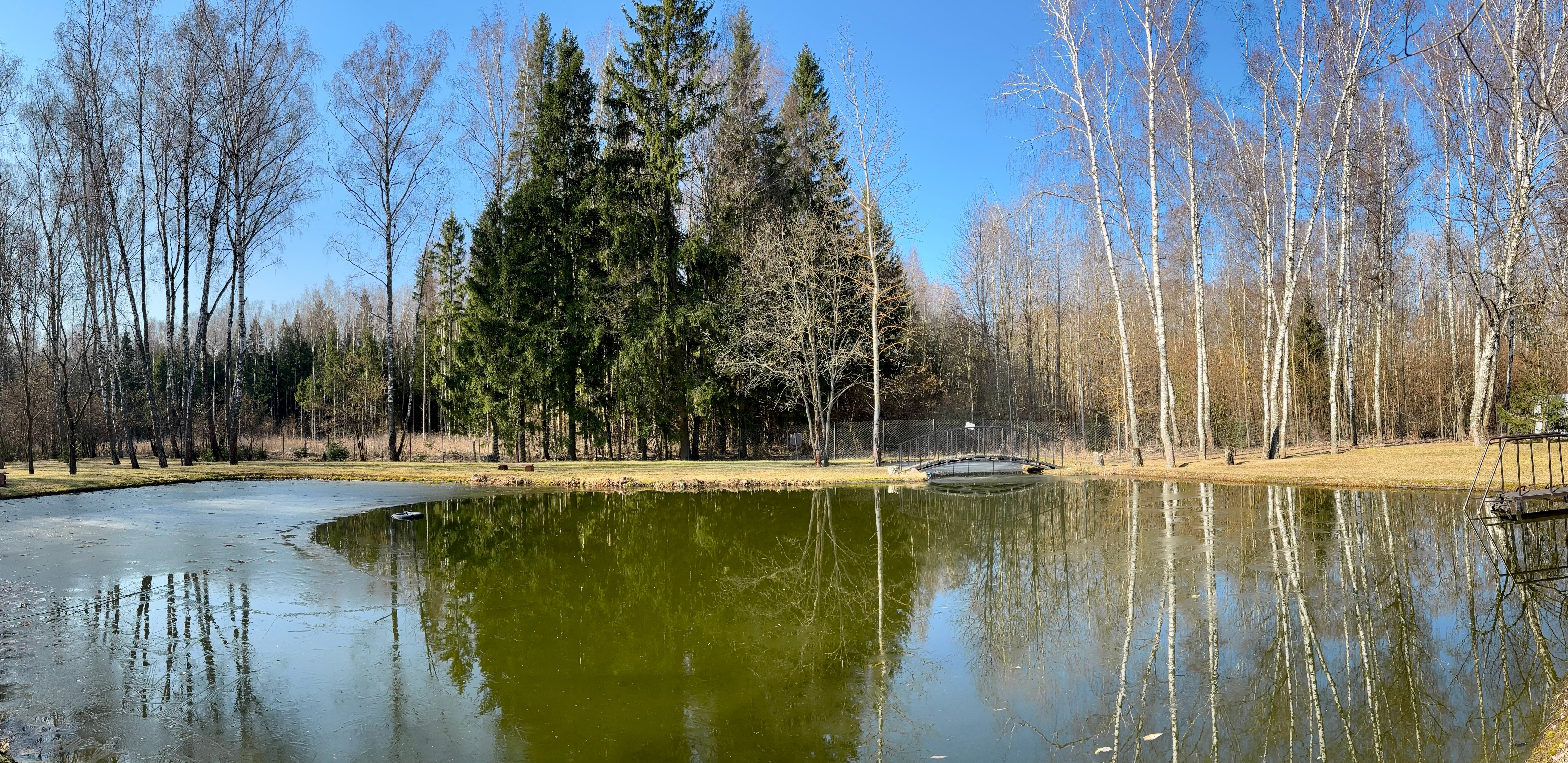 Фото Уютный домик в лесу у пруда