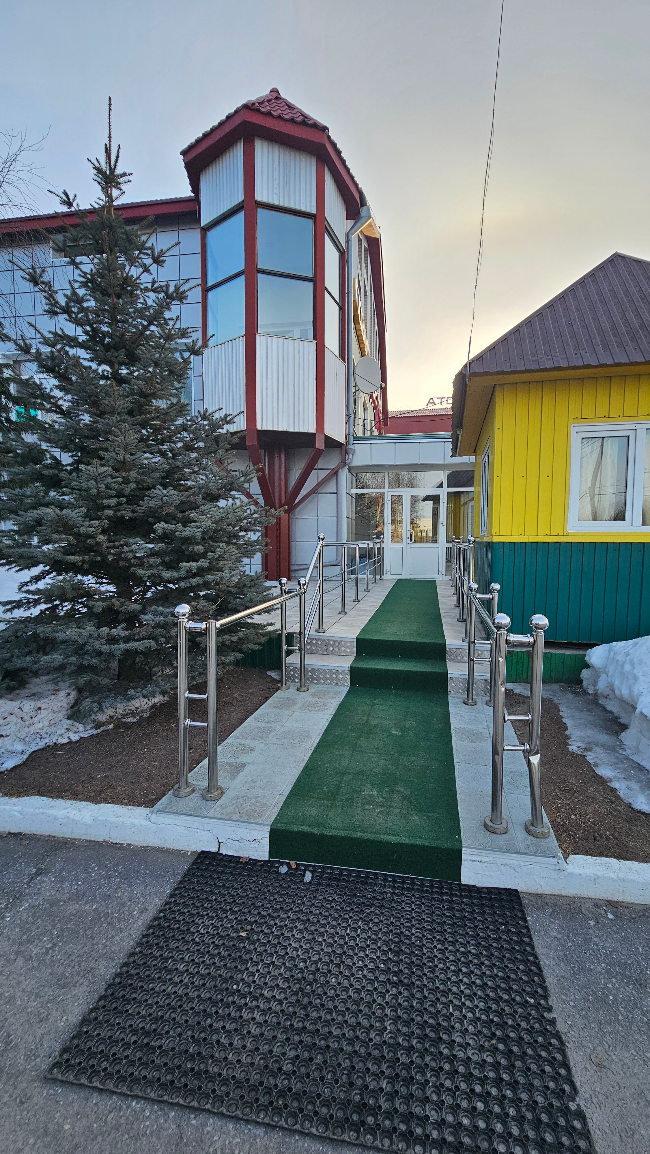 Фото Березка