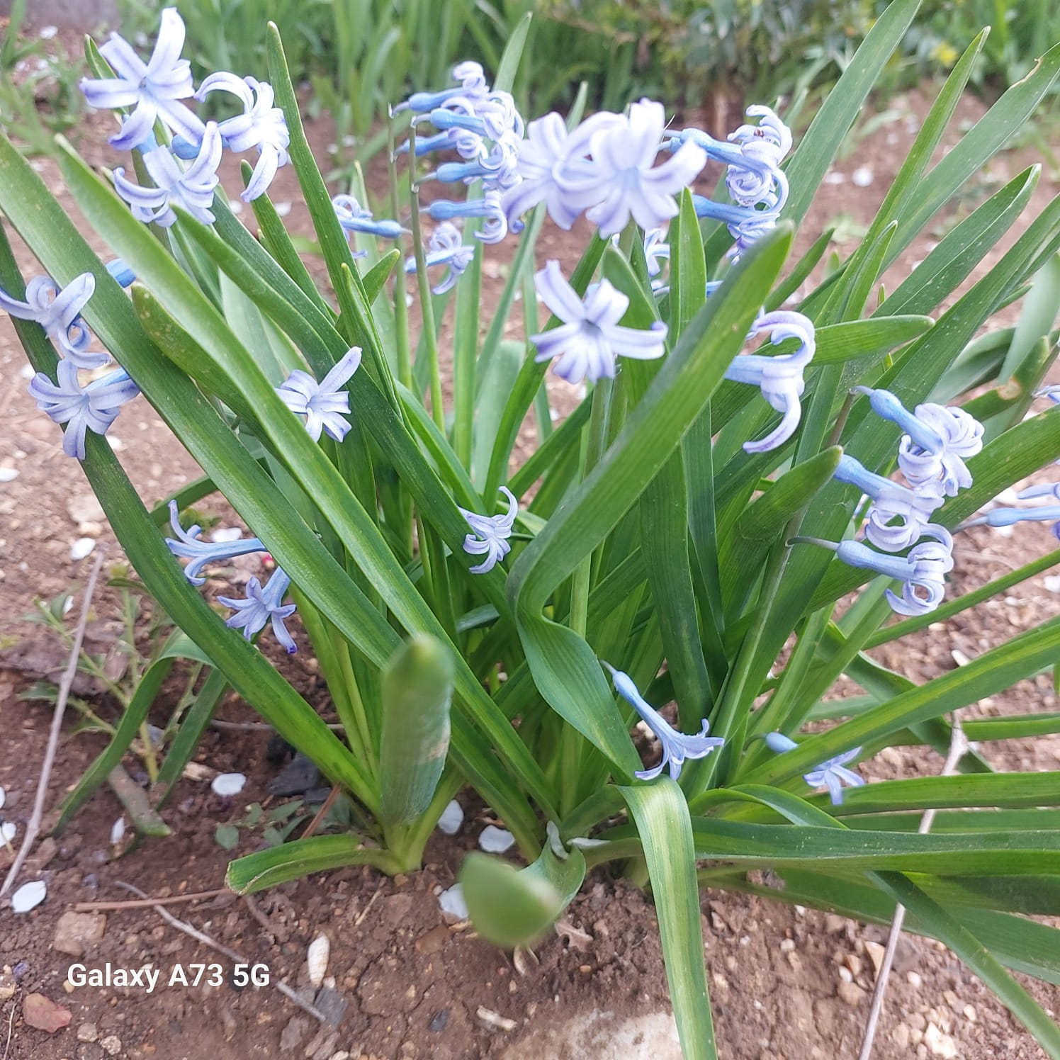 Фото Солнечный бриз