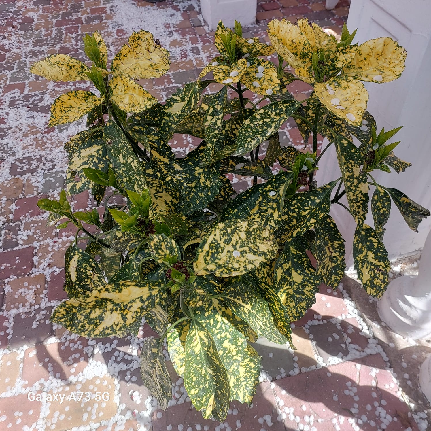 Фото Солнечный бриз